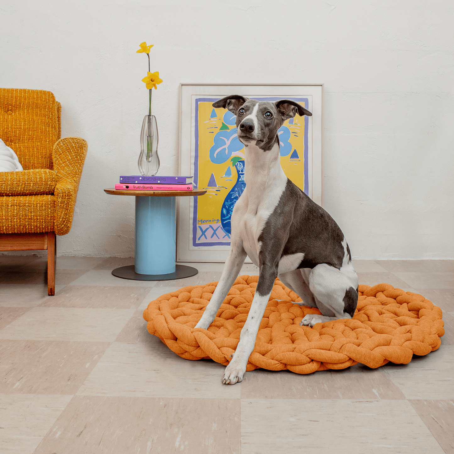 Chunky Thread creation orange rug with dog sitting on top